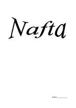 Research Papers 'Nafta', 6.