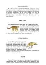Research Papers 'Lielie kaķi', 4.