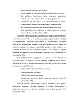 Research Papers 'SIA X kapitāla, maksātspējas un likviditātes analīze', 23.