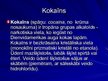 Presentations 'Narkotikas', 4.