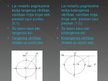 Presentations 'Trigonometrija', 10.
