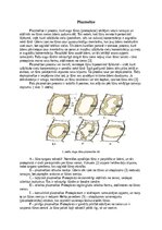 Summaries, Notes 'Plazmolīze augu šūnās', 3.