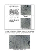 Summaries, Notes 'Plazmolīze augu šūnās', 6.