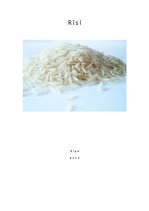 Research Papers 'Rīsi, trīs rīsu ēdienu receptes', 1.