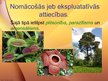 Presentations 'Ekoloģijas pamatprincipi un ekoloģiskie faktori', 11.