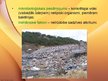 Presentations 'Ekoloģijas pamatprincipi un ekoloģiskie faktori', 17.