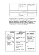 Practice Reports 'Atskaite par agrīnās bērnības pedagoģisko praksi', 18.