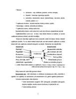 Research Papers 'Uzņēmējdarbības vide Valmierā, tās raksturojums un pasākumi vides uzlabošanā', 6.