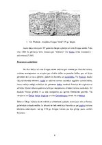 Research Papers 'Itālijas ekonomika renesanses laikā (13.-16.gadsimts)', 6.