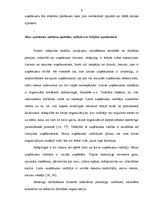 Term Papers 'Sporta preču vairumtirdzniecības uzņēmuma "Aqua Pro" vadīšanas analīze', 8.