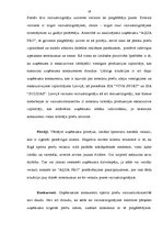 Term Papers 'Sporta preču vairumtirdzniecības uzņēmuma "Aqua Pro" vadīšanas analīze', 19.