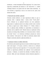 Term Papers 'Sporta preču vairumtirdzniecības uzņēmuma "Aqua Pro" vadīšanas analīze', 24.