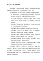 Term Papers 'Sporta preču vairumtirdzniecības uzņēmuma "Aqua Pro" vadīšanas analīze', 34.
