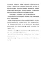 Term Papers 'Sporta preču vairumtirdzniecības uzņēmuma "Aqua Pro" vadīšanas analīze', 48.