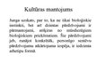 Presentations 'Patības attīstība K.G.Junga koncepcijā', 23.