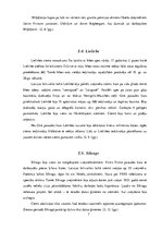 Research Papers 'Lībiešu krasts', 7.