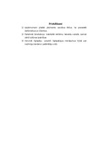 Practice Reports 'Eksāmena darbs - prakse uzņēmumā', 9.