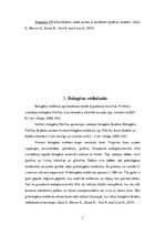 Research Papers 'Kolagēnās šķiedras', 7.