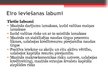 Presentations 'Māstrihtas kritēriji un to izpilde Latvijā', 4.