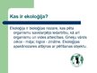 Presentations 'Ekoloģija', 2.