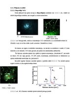 Research Papers 'Alvas dioksīda SnO2 sintēze un spektromikroskopijas pētījumi', 19.
