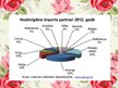 Presentations 'Lietuvas tirdzniecība ar citām valstīm', 6.