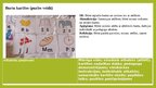Presentations 'Burtu kartītes', 2.