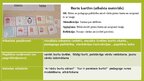 Presentations 'Burtu kartītes', 5.
