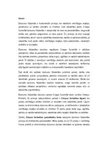 Summaries, Notes 'Dzimumu līdztiesība Eiropas Savienības tiesību sistēmā: teorija, prakse un nākot', 1.