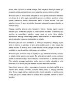 Essays 'Tematiskais plāns pirmsskolai visam gadam: gada aktivitātes, sadarbība un bērnu ', 5.