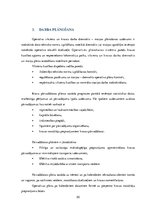 Research Papers 'Ekspluatācijas darba operatīvā vadība, mērķi un uzdevumi, darba plānošana', 20.