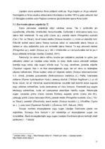 Research Papers 'Liepājas ezera Ezerkrasta pļavas dabas aizsardzības plāns', 11.