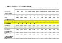 Practice Reports 'Finanšu rādītāju analīze 2019.-2021.gads', 28.