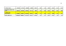 Practice Reports 'Finanšu rādītāju analīze 2019.-2021.gads', 29.