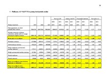 Practice Reports 'Finanšu rādītāju analīze 2019.-2021.gads', 30.