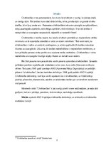 Research Papers 'Cilvēktiesības', 3.