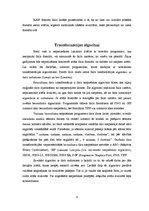 Research Papers 'Rastrs, rastra formāti, transformācijas algoritmi', 8.