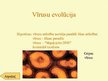 Presentations 'Vīrusi', 4.