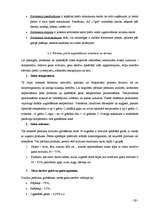 Practice Reports 'Uzņēmums SIA "Latgale"', 29.