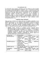 Research Papers 'Automašīnu riepu ražošana', 3.