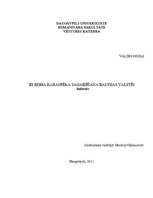 Research Papers 'Trešā Reiha karaspēka sagaidīšana Baltijas valstīs', 1.