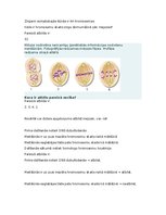 Summaries, Notes 'Šūnu vairošanās', 2.