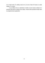 Research Papers 'RIMI mārketinga komunikācija', 10.