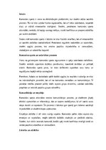 Essays 'Komandas sports un sociālās prasmes skolēniem', 1.