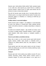 Essays 'Komandas sports un sociālās prasmes skolēniem', 2.