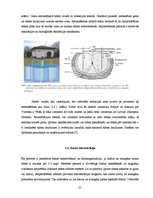 Research Papers 'Piesārņojuma avotu identifikācija ūdens attīrīšanas iekārtu tehnoloģiskajā proce', 25.