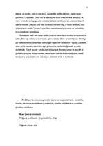 Research Papers 'Pusaudžu skolas neapmeklēšanas cēloņi', 4.