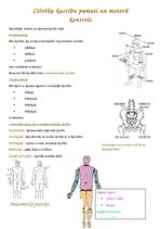 Summaries, Notes 'Cilvēku kustību pamati un motorā kontrole', 1.