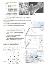 Summaries, Notes 'Cilvēku kustību pamati un motorā kontrole', 7.