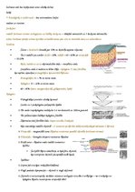 Summaries, Notes 'Cilvēku kustību pamati un motorā kontrole', 10.